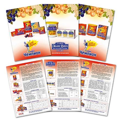 Пример продукции Печать32: 2018 12 booklet 08 для заказов в Брянске